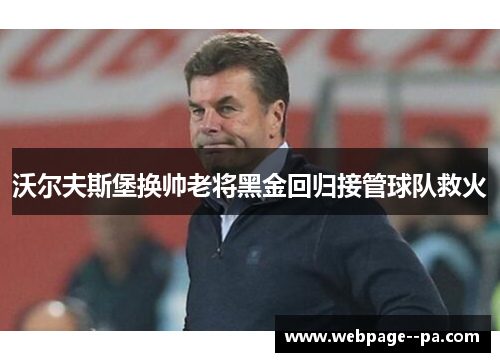 沃尔夫斯堡换帅老将黑金回归接管球队救火 沃尔夫斯堡换帅老将黑金回归接管球队救火