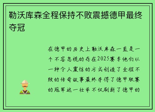 勒沃库森全程保持不败震撼德甲最终夺冠 勒沃库森全程保持不败震撼德甲最终夺冠